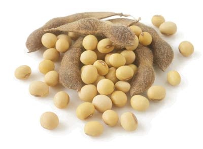 Rau quả chống tia cực tím - 5