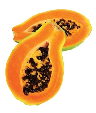 Rau quả chống tia cực tím - 3