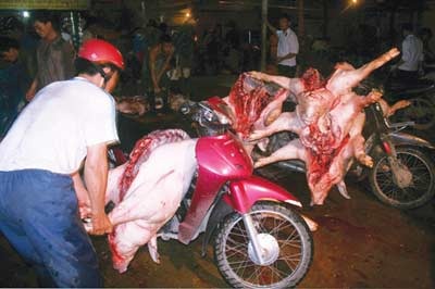 Báo động thực phẩm nhiễm bẩn - 1