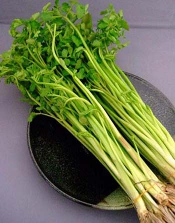 7 rễ rau chống lạnh và đuổi bệnh - 1 7 rễ rau chống lạnh và đuổi bệnh - 1