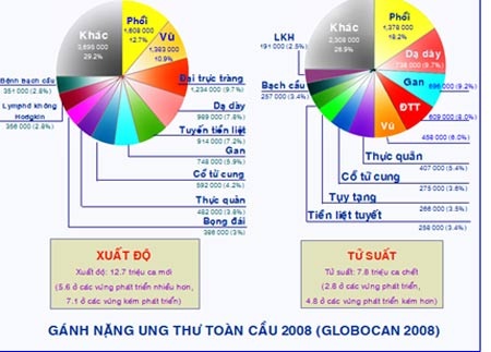 Sao cho nhẹ gánh ung thư? - 2 Sao cho nhẹ gánh ung thư? - 2