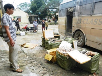 Ớn lạnh cảnh biến thịt thối thành đặc sản - 2