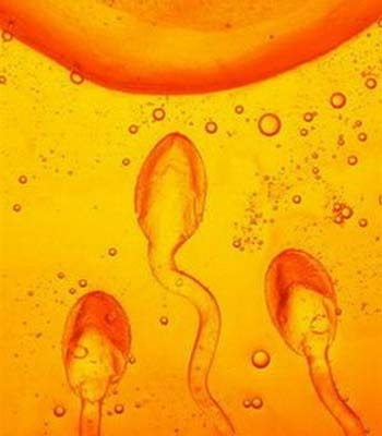 Những con số thú vị về khả năng "yêu" của nam giới - 1