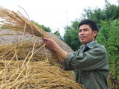 Gặp lại người ghép tim đầu tiên ở Việt Nam - 1 Gặp lại người ghép tim đầu tiên ở Việt Nam - 1