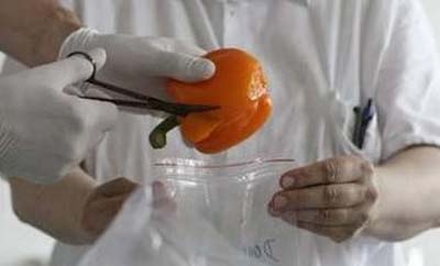 WHO: Dịch tiêu chảy là do chủng E.coli mới cực độc - 1 WHO: Dịch tiêu chảy là do chủng E.coli mới cực độc - 1