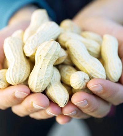 5 tạng người không nên ăn lạc - 1