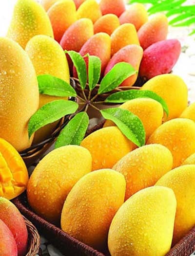 5 nhóm thực phẩm giúp da chống nắng - 2 5 nhóm thực phẩm giúp da chống nắng - 2