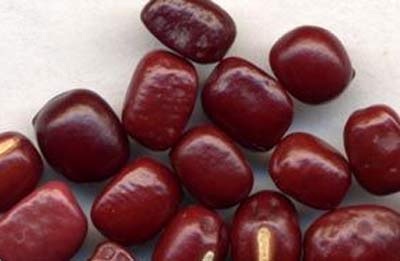 Thực phẩm bài độc, giúp vòng eo thon gọn - 2 Thực phẩm bài độc, giúp vòng eo thon gọn - 2