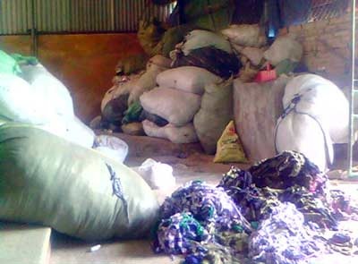 Nổi nấm, hen suyễn vì ruột gối, chăn bẩn - 2