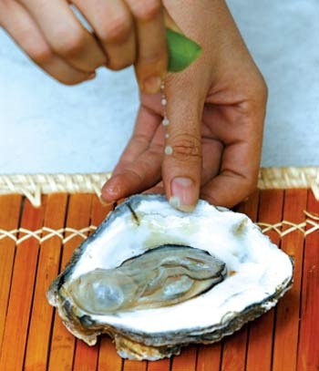 Nhiễm giun trong máu: thật hay đùa? - 1 Nhiễm giun trong máu: thật hay đùa? - 1