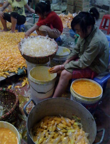 Nhiều món ăn ngọt ngon nhờ đường… hóa học độc - 5 Nhiều món ăn ngọt ngon nhờ đường… hóa học độc - 5