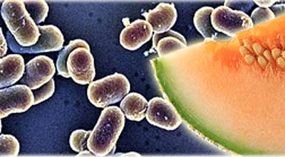 Phòng ngừa nhiễm khuẩn listeria - 1 Phòng ngừa nhiễm khuẩn listeria - 1