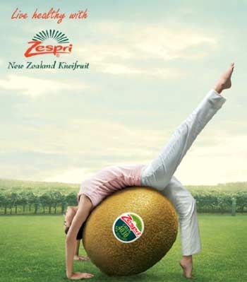 10 lý do để chọn kiwi - 2