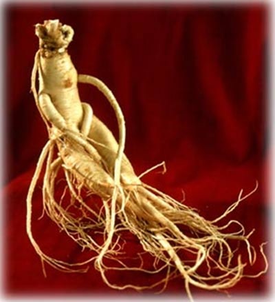 Món ăn tăng cường sức bền nam giới - 1