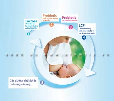 HIPP Combiotic® - Thế hệ dinh dưỡng tiên tiến với tiêu chuẩn vàng từ sữa mẹ - 1