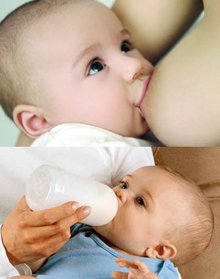 Cuộc tranh luận thú vị giữa “bầu sữa” và “bình sữa” - 2 Cuộc tranh luận thú vị giữa “bầu sữa” và “bình sữa” - 2
