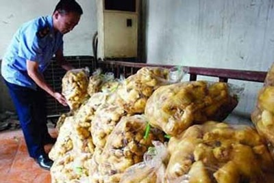 Choáng với gừng tươi bảo quản bằng lưu huỳnh - 1