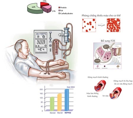 Dinh dưỡng đặc biệt cho người lọc máu ngoài thận   - 1