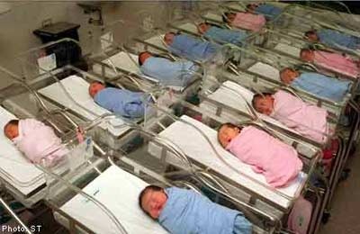 Không phải tất cả trẻ em sinh năm Rồng đều thành công! - 1 Không phải tất cả trẻ em sinh năm Rồng đều thành công! - 1