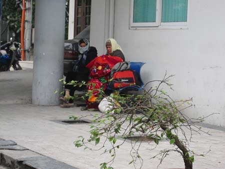 Co ro trong rét buốt thấu xương nơi bệnh viện - 2