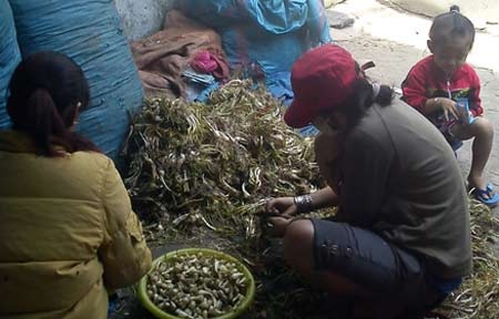 Thực phẩm tết: Nhìn thấy hết muốn ăn! - 1 Thực phẩm tết: Nhìn thấy hết muốn ăn! - 1