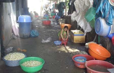 Thực phẩm tết: Nhìn thấy hết muốn ăn! - 2 Thực phẩm tết: Nhìn thấy hết muốn ăn! - 2