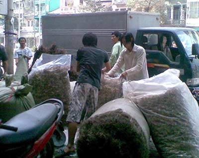 Trộn tân dược vào đông dược: Lừa và hại người bệnh - 1 Trộn tân dược vào đông dược: Lừa và hại người bệnh - 1