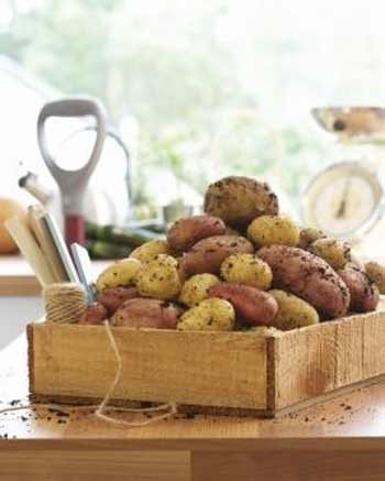 Thực phẩm bổ phổi - 1