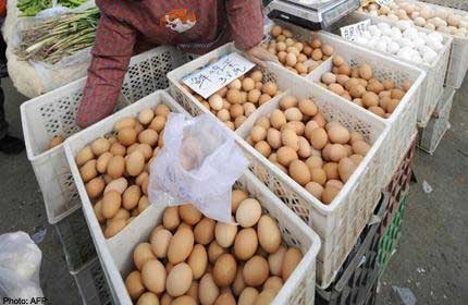 Trung Quốc: Điều tra trứng luộc “nảy” như bóng - 1 Trung Quốc: Điều tra trứng luộc “nảy” như bóng - 1