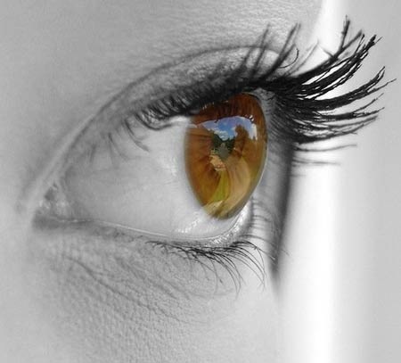 Nguy cơ mù lòa lúc già vì chủ quan khi trẻ - 1 Nguy cơ mù lòa lúc già vì chủ quan khi trẻ