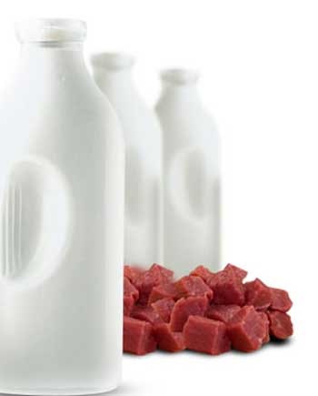 Tác hại của hoóc-môn tăng trưởng trong thực phẩm - 1 Tác hại của hoóc-môn tăng trưởng trong thực phẩm