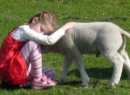 Bại liệt vì kí sinh trùng từ vật nuôi - 1 Bại liệt vì kí sinh trùng từ vật nuôi