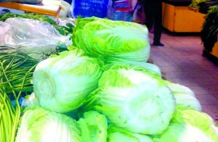 Chưa phát hiện cải thảo Trung Quốc có chất ướp xác