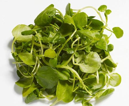 Ăn gì trước khi tập thể dục?