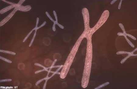 Phát hiện gene ngăn di căn ung thư - 1 Phát hiện gene ngăn di căn ung thư