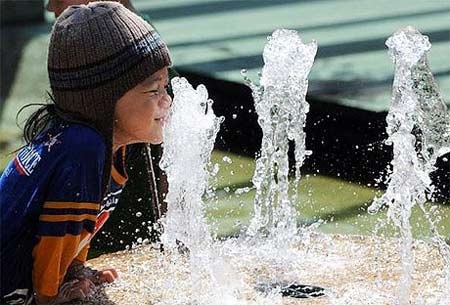 Môi trường ô nhiễm "đầu độc" sức khỏe con người - 1 Môi trường ô nhiễm đầu độc sức khỏe con người