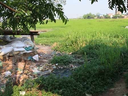 Kinh hoàng ô mai ngâm, tẩm ướp nổi váng đen sệt - 1 Kinh hoàng ô mai ngâm, tẩm ướp nổi váng đen sệt