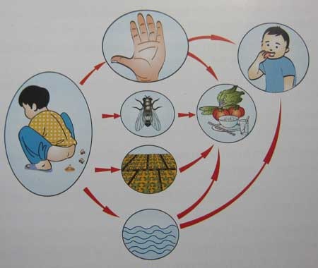 Tỉ lệ rửa tay sạch sau tiểu tiện vẫn rất thấp - 1 Tỉ lệ rửa tay sạch sau tiểu tiện vẫn rất thấp