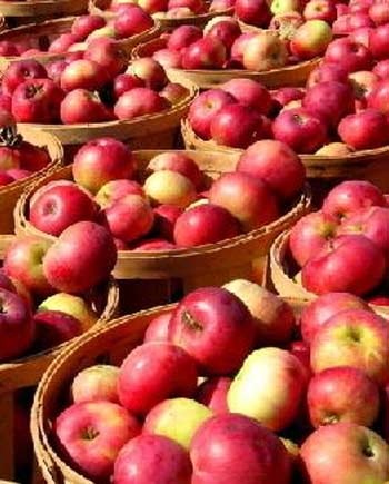 Những thực phẩm trị chứng táo bón hiệu quả