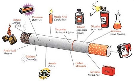 Bạn được gì khi bỏ thuốc lá? - 1 Bạn được gì khi bỏ thuốc lá?