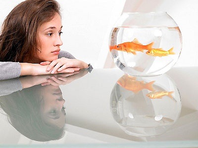 Gái một con ăn “quả đắng” từ “lính phòng không” - 1 Gái một con ăn “quả đắng” từ “lính phòng không”