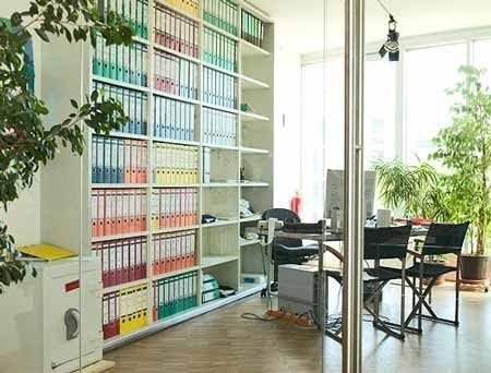 6 loại cây cảnh tốt nhất cho sức khỏe nơi làm việc - 1 Cây cau cảnh