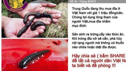 Các diễn đàn rộ lên tin đồn về trứng đỉa