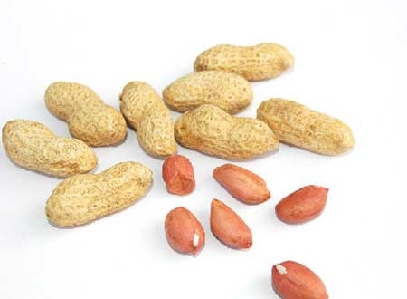 Thực phẩm bồi bổ cho thể chất khí suy - 1 Lạc: