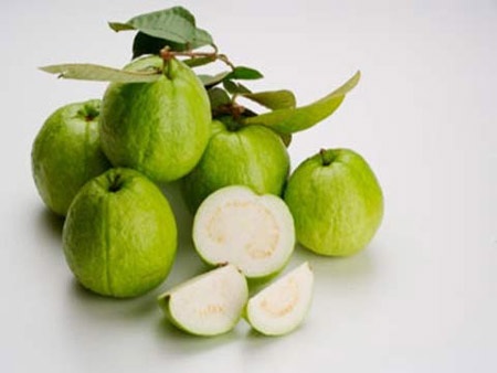 Quả ổi - Vừa ngon, vừa hỗ trợ tiêu hoá! - 1 Những điều chưa biết về quả ổi
