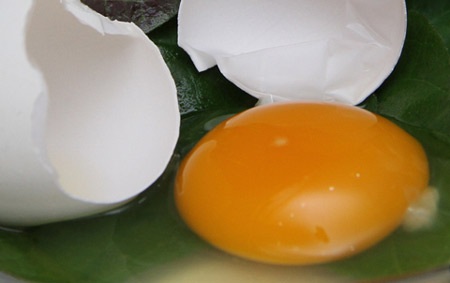 Việc sán có trong trứng rất ít xảy ra - 1 Việc sán có trong trứng rất ít xảy ra.
