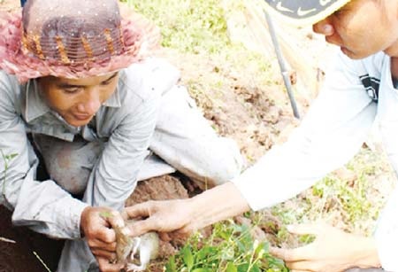 Sát thủ giấu mặt từ chuột - 1 Ảnh minh hoạ