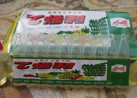 Mít non chín thơm nhờ tiêm thuốc? - 2 Giá của những lọ này chỉ từ 2.000 – 2.500 đồng.