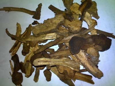9 dược liệu quý chữa bệnh rối loạn tiêu hóa - 1 9 dược liệu quý chữa bệnh rối loạn tiêu hóa