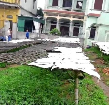 Hãi hùng công nghệ “phù phép” bì lợn bẩn - 1 Bì lợn được phơi khắp nơi
